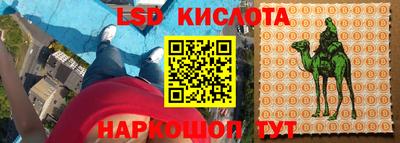 шишки Можайск