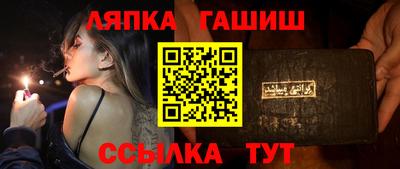 гашик Можга