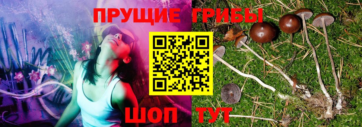 Галлюциногенные грибы мицелий Троицк