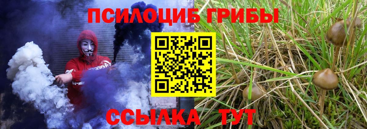 Галлюциногенные грибы Psilocybine cubensis  Псилоцибиновые грибы GOLDEN TEACHER  Троицк  Вход с VPN 
